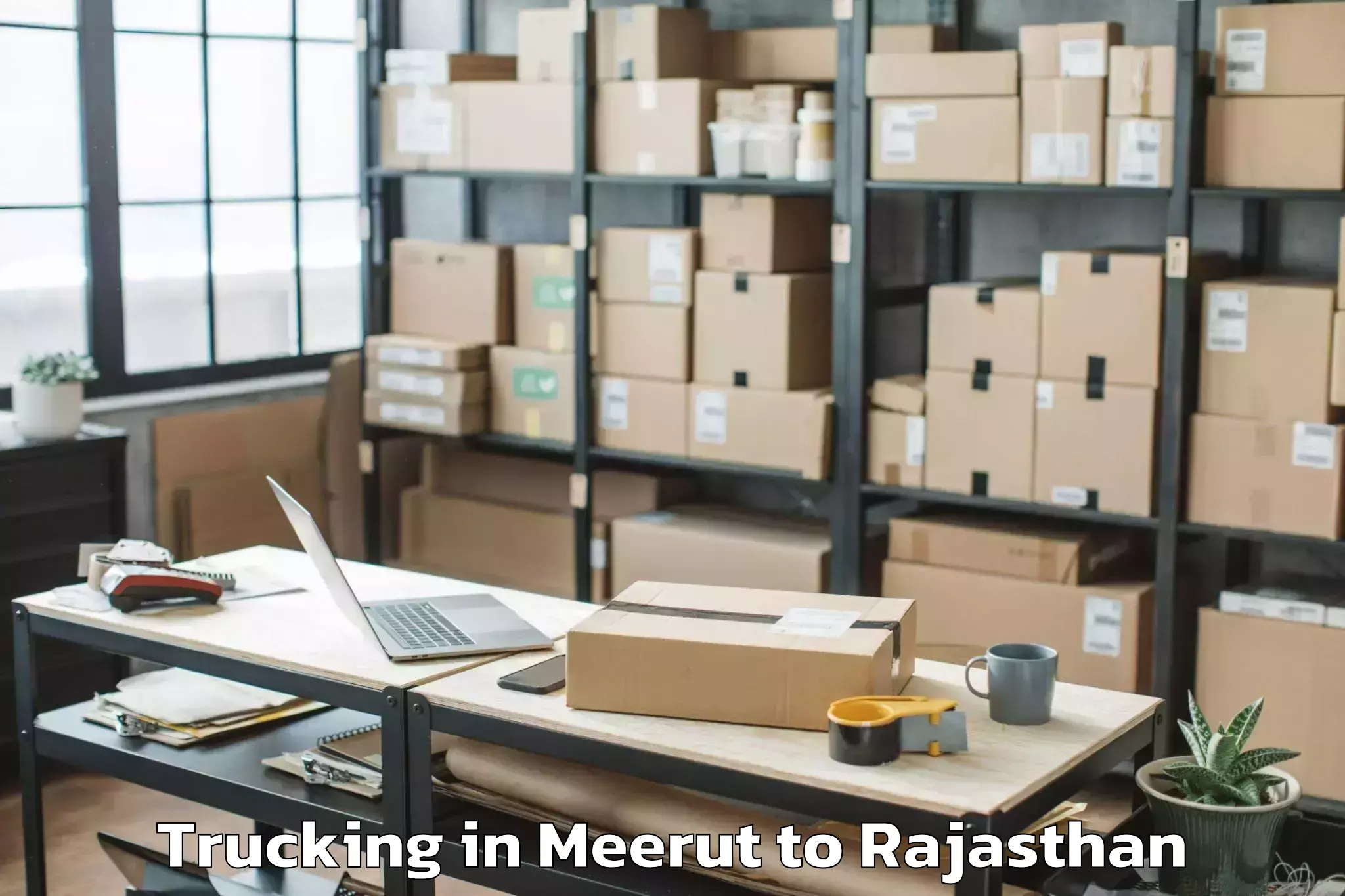 Easy Meerut to Bagidora Trucking Booking